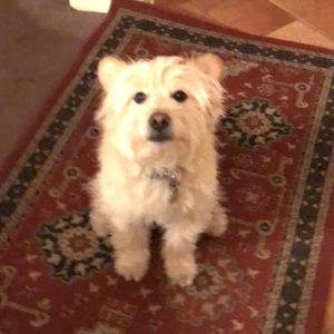 Meet your Posher, Isaac